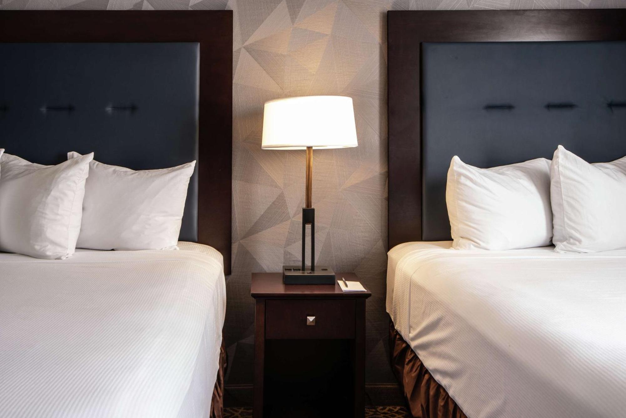 Embassy Suites By Hilton Tucson East Buitenkant foto
